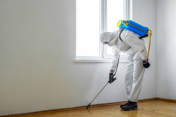 Best Pest Prevention Services  in Neodesha, KS