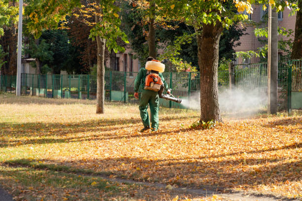 Trusted Neodesha, KS Pest Control Experts