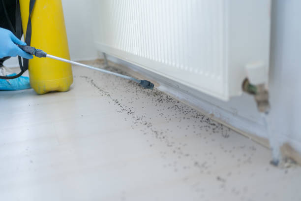 Best Cockroach Control Services  in Neodesha, KS