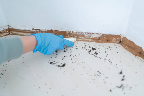 Best Bed Bug Extermination  in Neodesha, KS