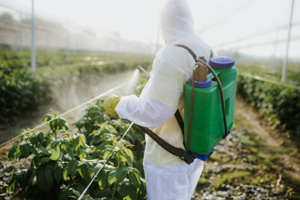 Best Pest Control Treatment  in Neodesha, KS